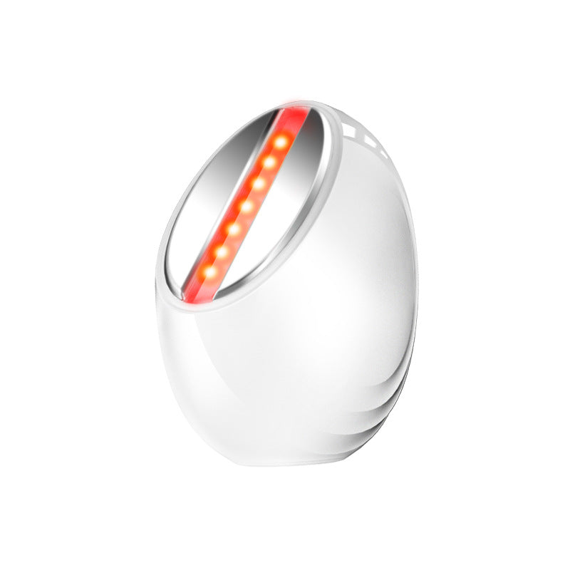 Electronic Beauty Apparatus