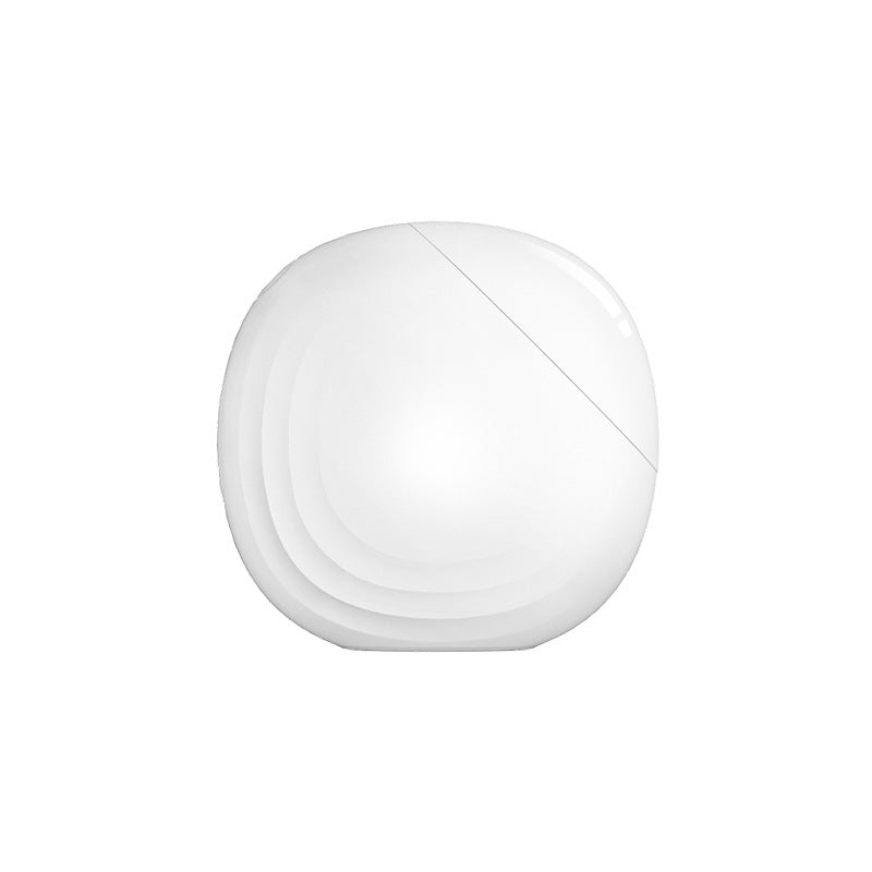 Electronic Beauty Apparatus