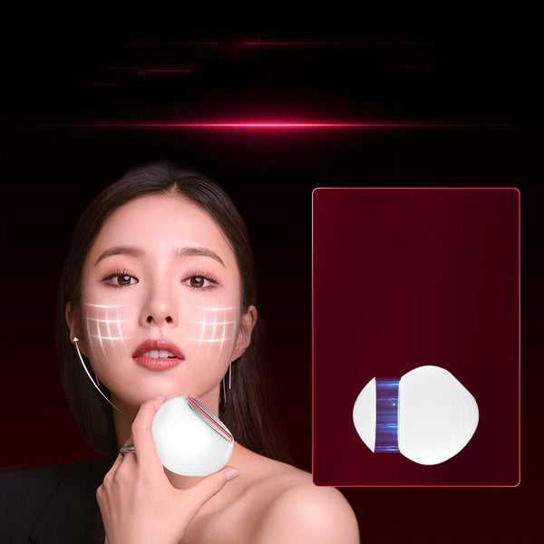 Electronic Beauty Apparatus